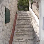 Petra Tribalj