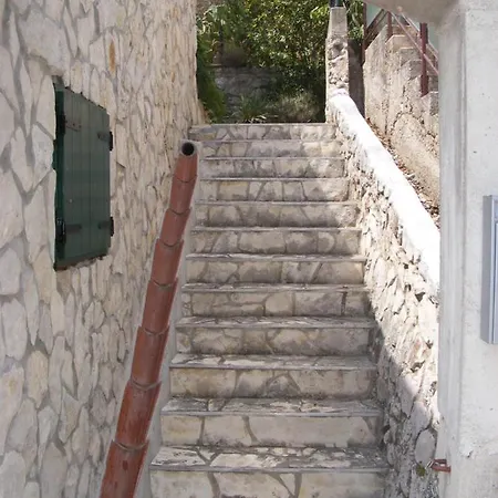 Petra Tribalj